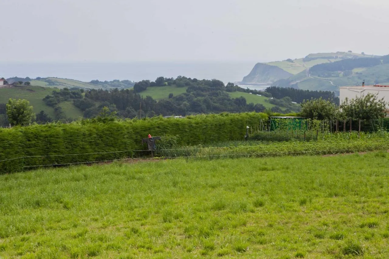 Endaneta Berri Daire Zumaia 0*,